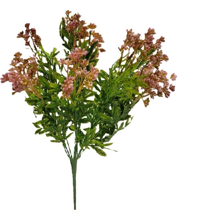 PINK LIMONIUM BUSH
