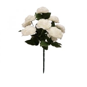 WHITE FRENCH RANUNCULUS x 9 Stems