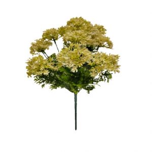 CREAM GREEN WILD ALLIUM BUSH x 12 Stems