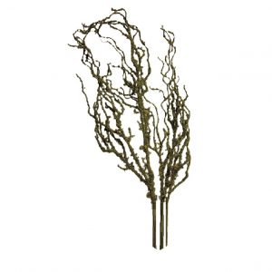 GREEN MOSSED BRANCH / 40"