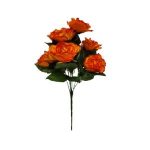 CIRCUS AVE MARIA PEACE ROSE BUSH