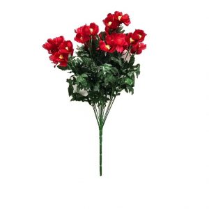RED COSMOS BUSH x 12 Stems