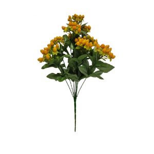 YELLOW HYPERICUM BUSH