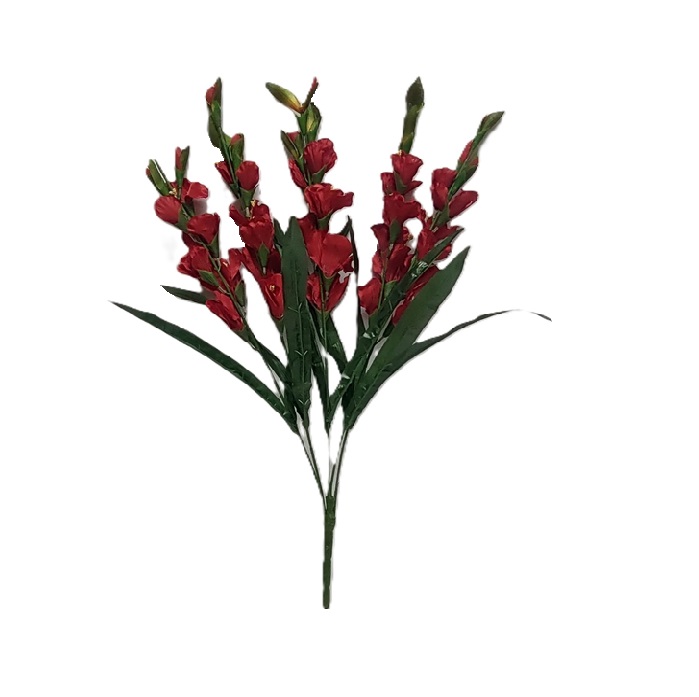 RED GLAD BUSH x 7 Stems