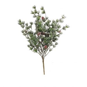 SNOWY MING PINE BUSH W/CONES