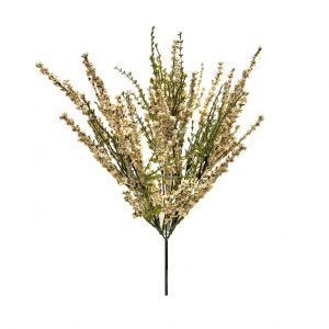 CREAM ERICA BUSH x 11 Stems