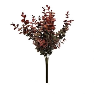 RED NOVELTY BABY EUCALYPTUS BUSH