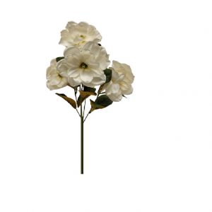 ALABASTER SWEETBAY MAGNOLIA BUSH