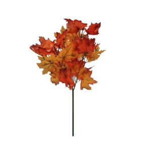 GOLD/ORANGE MAPLE LEAF BUSH