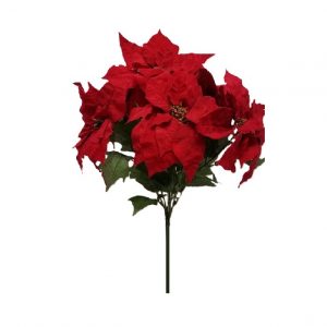 RED POINSETTIA BUSH/X7