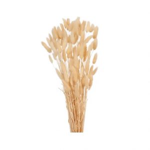 BLEACHED BUNNY TAIL/LAGURAS 15-17"