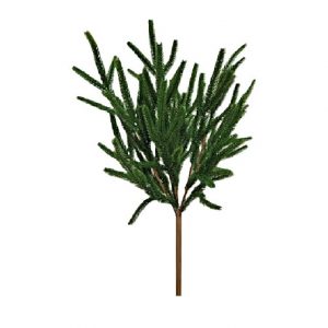 NORFOLK PINE BUSH / 18"
