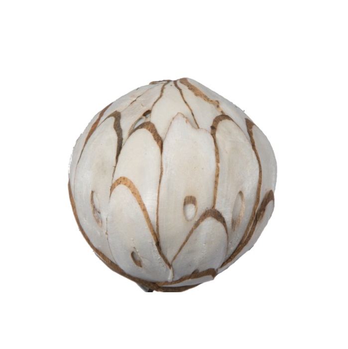 SOLA CHIPS BALL/2.4" 50 PK