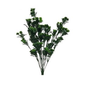 NATURAL GREEN ASPARAGUS