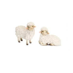 SHEEP/2