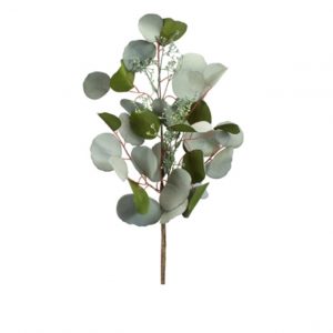 EUCALYPTUS SPRAY W/SEEDS/29"