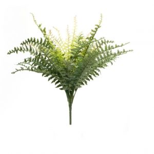 FERN BUSH/22.5"