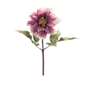PLUM DAHLIA STEM/16"
