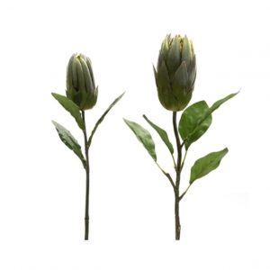 PROTEA STEM/2