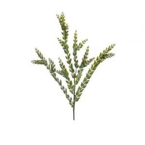 KNIFE BLADE EUCALYPTUS SPRAY/40"