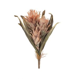 BROMELIAD BUSH / 17"