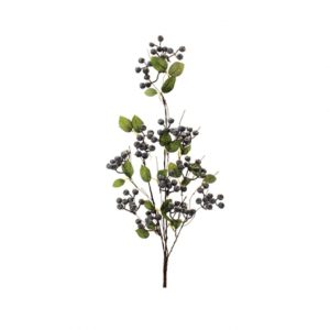 BLUE BERRY SPRAY/35"