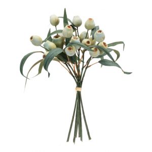 EUCALYPTUS POD BUNDLE/14"