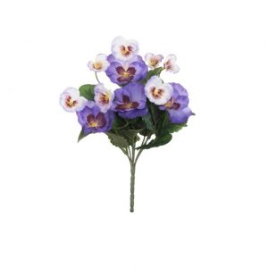 PURPLE PANSY BUSH