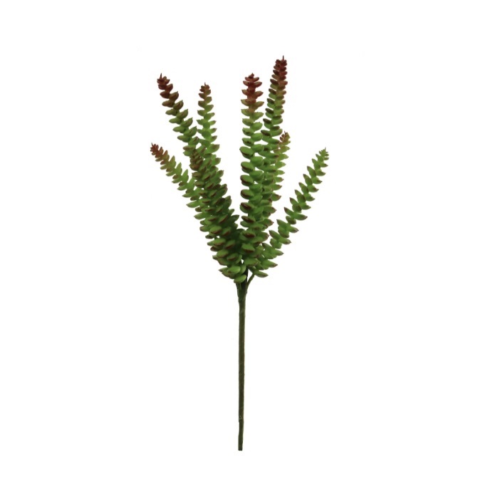 CRASSULA SUCCULENT PLANT/14"
