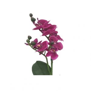 FUCHSIA PHALAENOPSIS ORCHID SPRAY