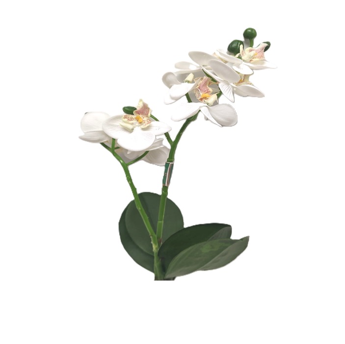 WHITE PHALAENOPSIS ORCHID SPRAY  / 16"