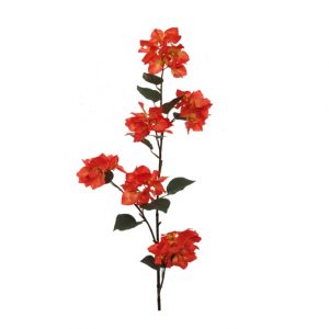 ORANGE BOUGAINVILLEA SPRAY
