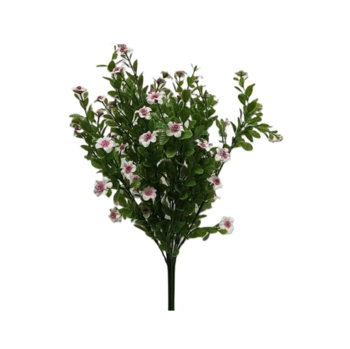 WHITE/PINK NEW JACOB'S LADDER BUSH