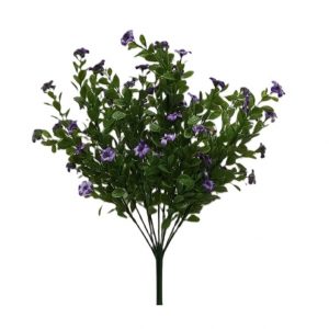 PURPLE NEW JACOB'S LADDER BUSH