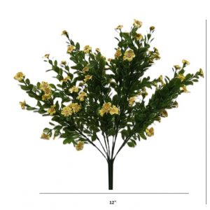 YELLOW NEW JACOB'S LADDER BUSH