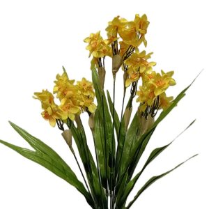 YELLOW/GOLD NATURAL NARCISSUS BUSH