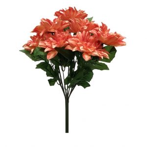 APRICOT DAHLIA BUSH x 7 Stems