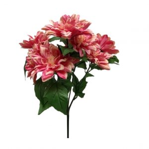 PINK DAHLIA BUSH x 7 Stems