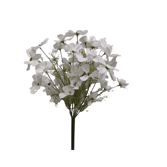 WHITE NATURAL COSMOS BUSH
