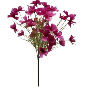 MAGENTA NATURAL COSMOS BUSH