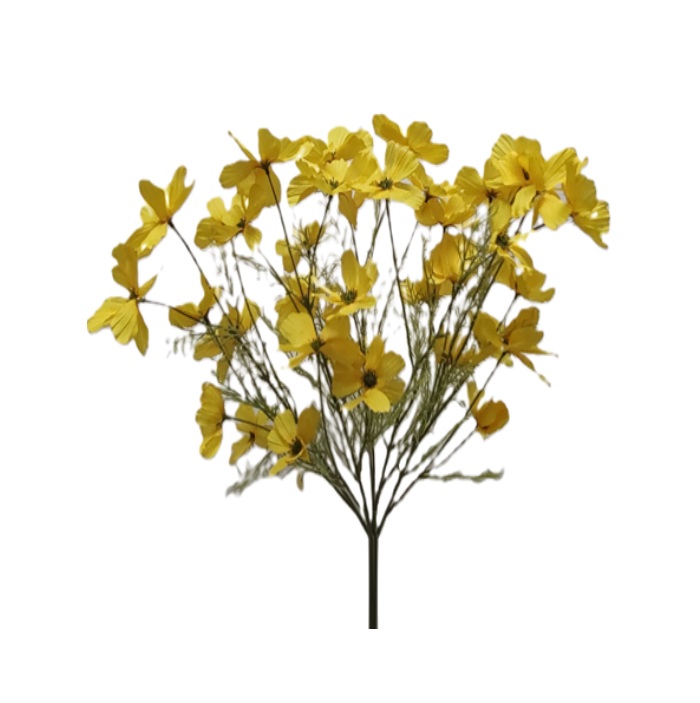 YELLOW NATURAL COSMOS BUSH