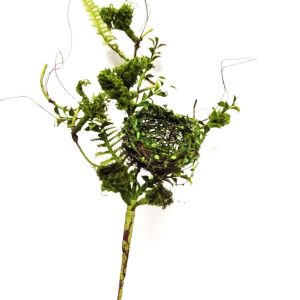 BIRD'S NEST SPRAY/24"