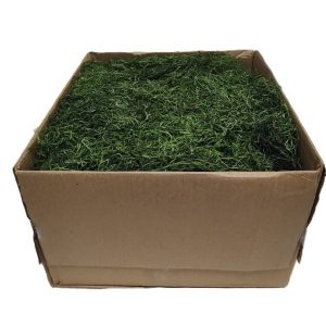 GREEN SPANISH MOSS/5lbs