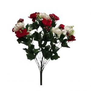 RED WHITE LITTLE MAGNOLIA GYP BUSH x 18