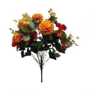 MAGNOLIA MUM MARIGOL BUSH x 24