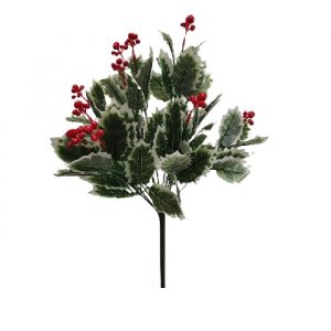 VARIEGATED HOLLY BUSH WITH BERRIES x14