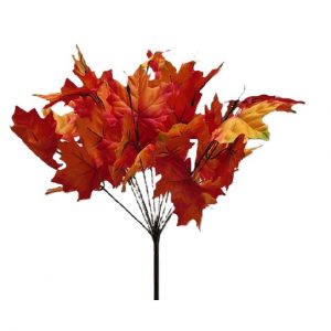 MAPLE LEAF BUSH FALL x 12