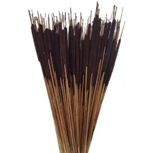 MAHOGANY PENCIL CATTAILS/100 STEMS/27"