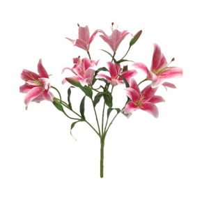 RHUBRUM HYBRID LILY BUSH x 9