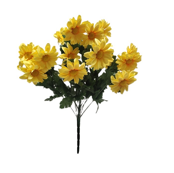 YELLOW AFRICAN DAISY BUSH x 12 Stem
